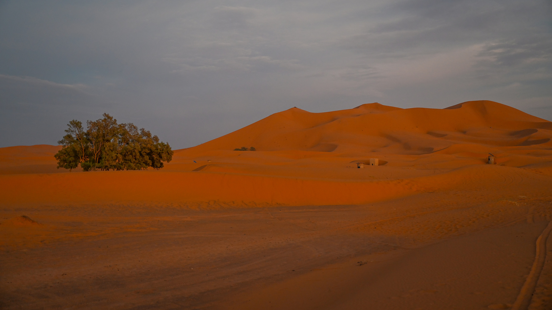 Erg Chebbi 11