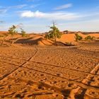 Erg Chebbi 15