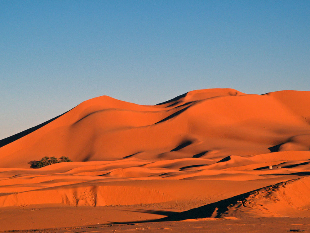 Erg Chebbi 2007