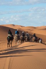 Erg Chebbi - 22