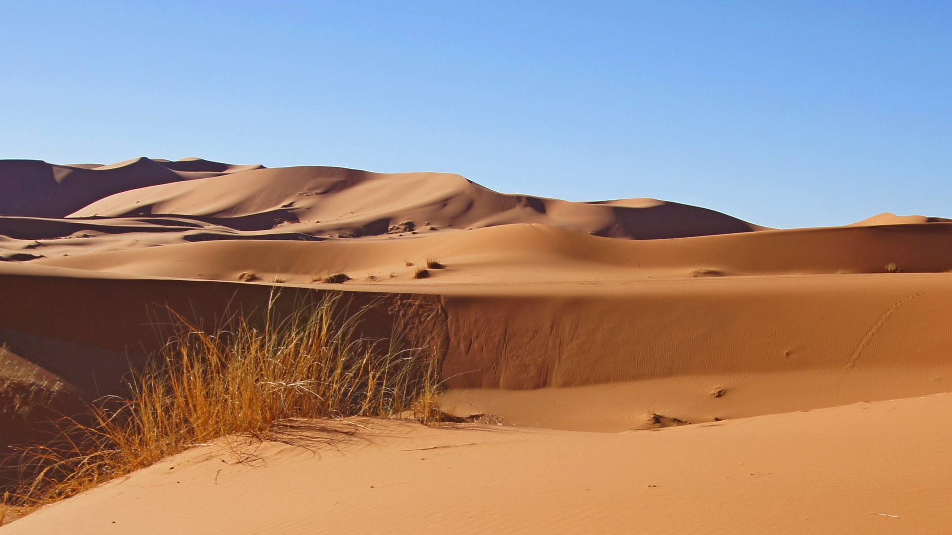 Erg Chebbi