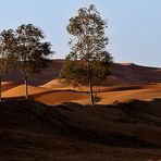 Erg Chebbi