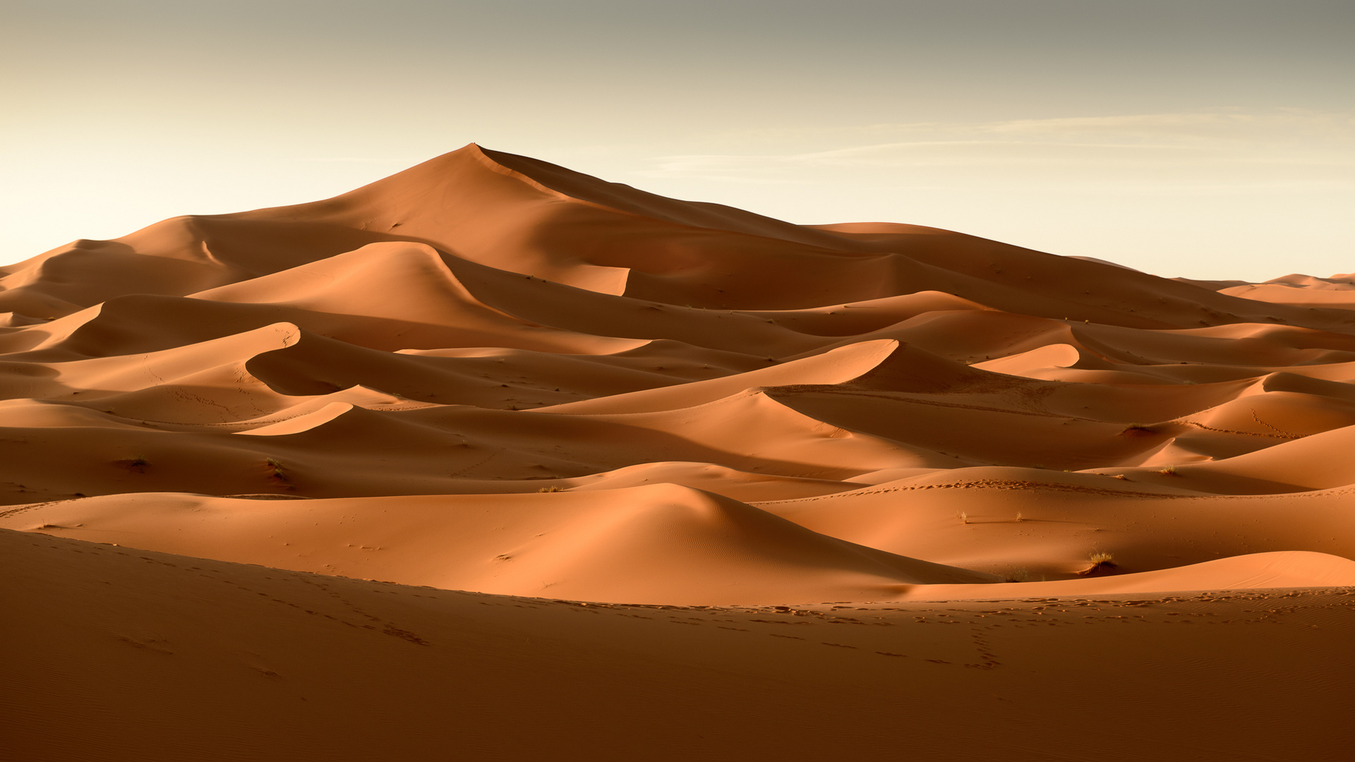 Erg Chebbi