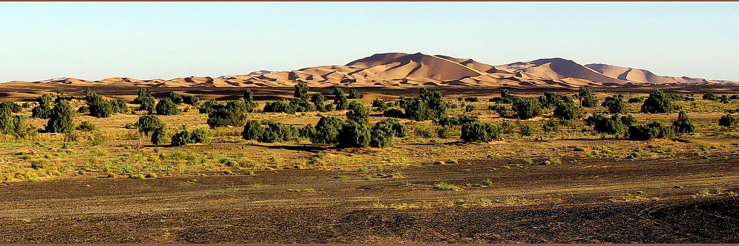 Erg Chebbi