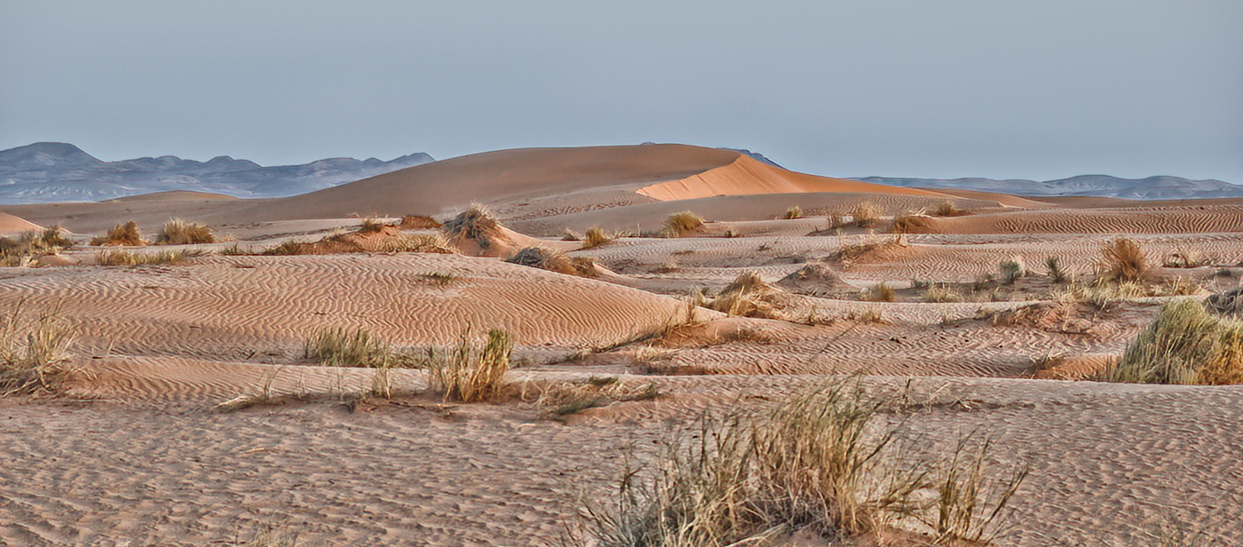 Erg Chebbi