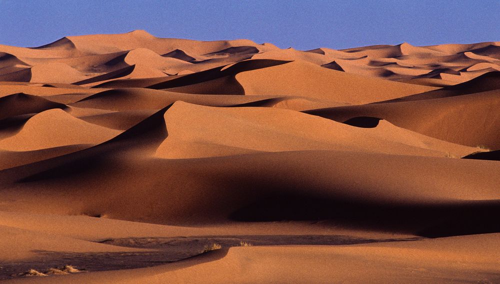 Erg Chebbi