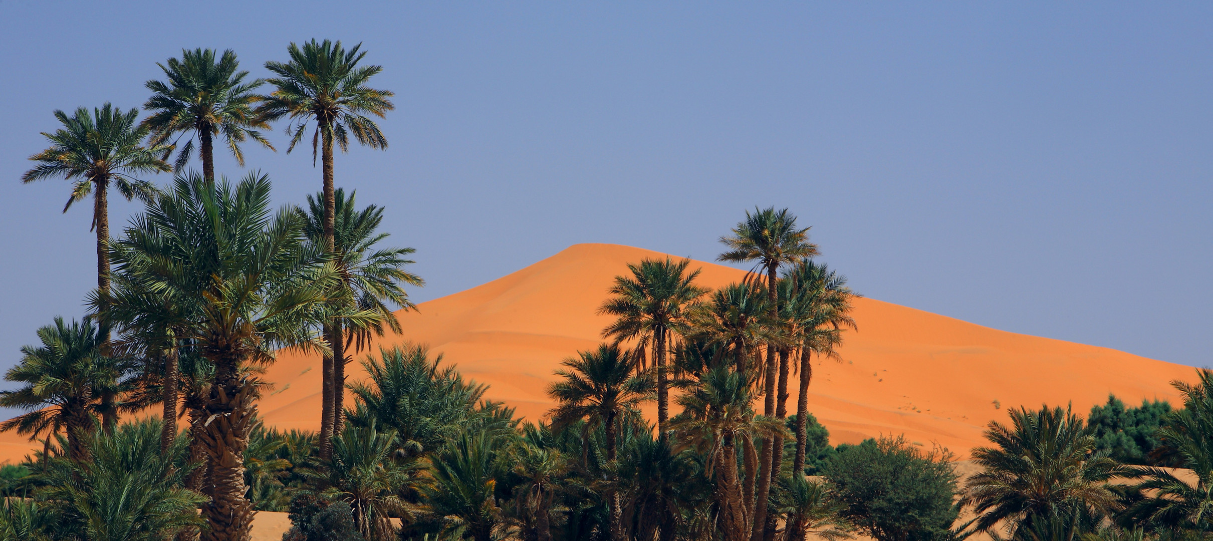 Erg Chebbi Foto & Bild africa, morocco, north africa Bilder auf