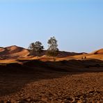 Erg Chebbi