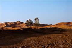 Erg Chebbi