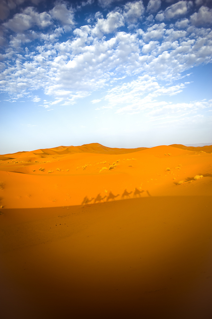 erg chebbi