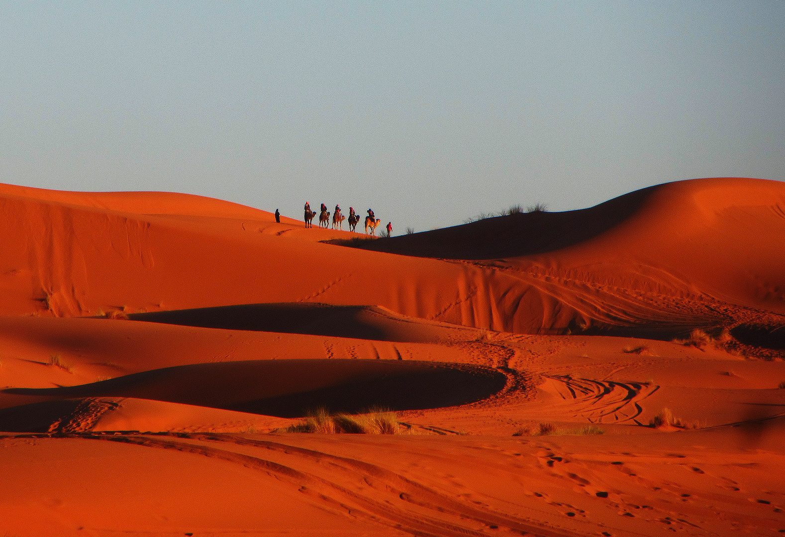 Erg Chebbi