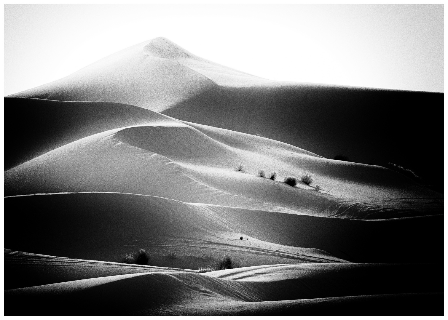 Erg Chebbi im Morgenlicht