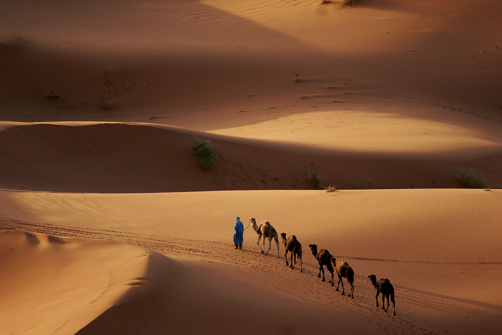 Erg Chebbi - Marokko 1