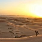 Erg Chebbi, Marokko