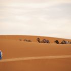 Erg Chebbi /Merzouga