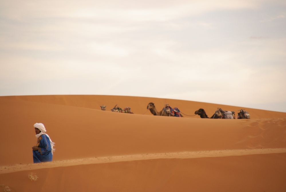 Erg Chebbi /Merzouga