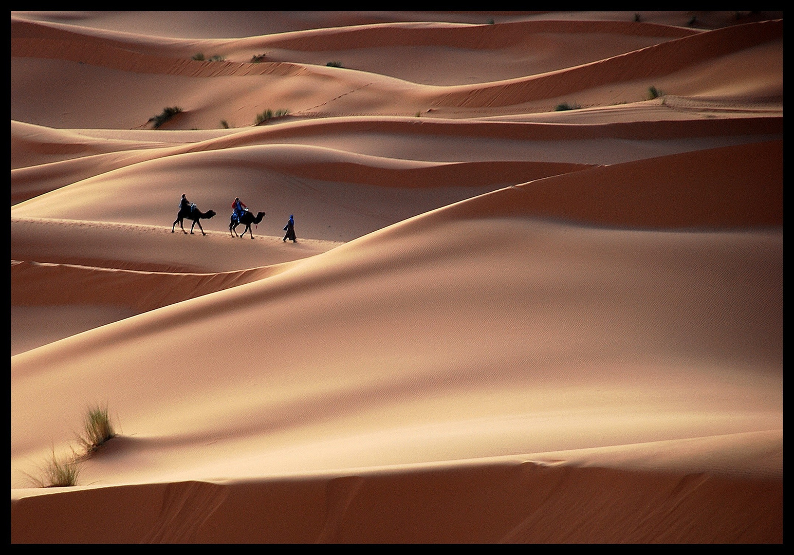 Erg Chebbi ou le silence de la traversée...