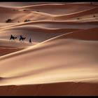 Erg Chebbi ou le silence de la traversée...