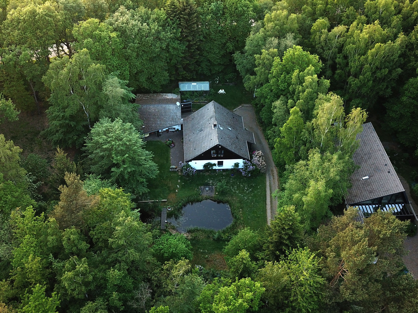Ergäzung zum Rehfoto Mein Grundstück mit Verstecken Foto & Bild natur, landschaft, pflanzen
