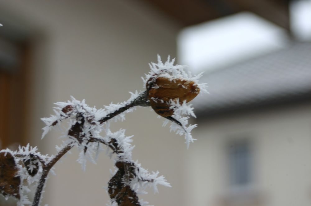 Ergebnis des Winterwetters - in heftigem Wind