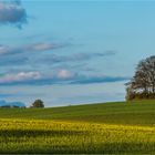 … Erhabene Ruhestätte …