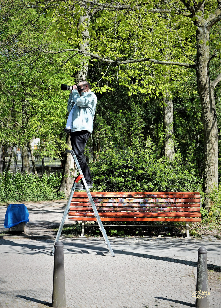 Erhöhter Durchblick