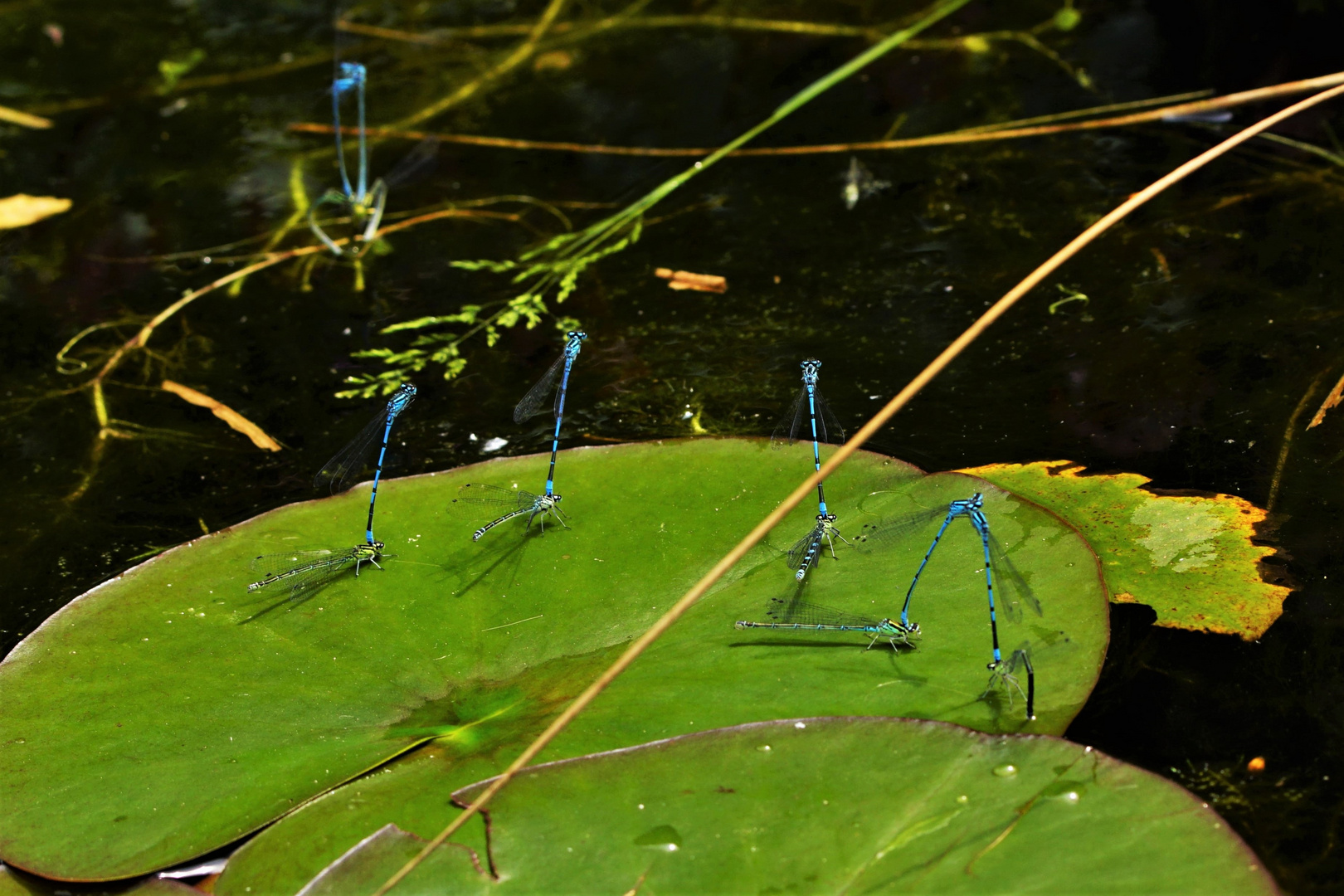 Erhöhter Flugbetrieb