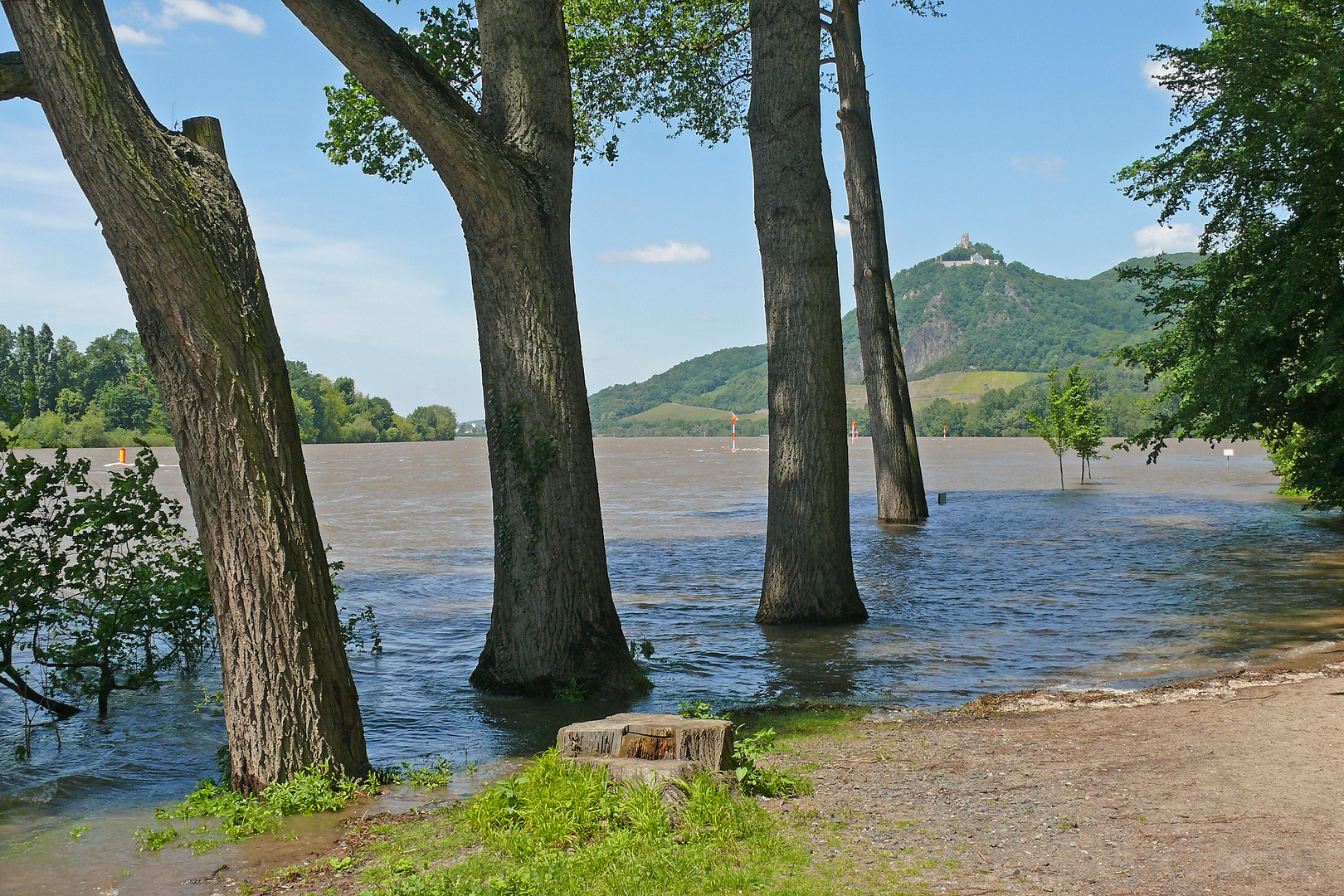 erhöhter Wasserstand