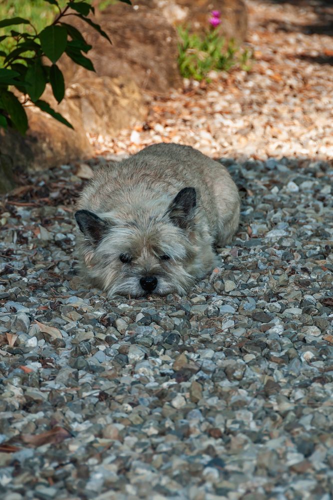 Erholen vom Strand