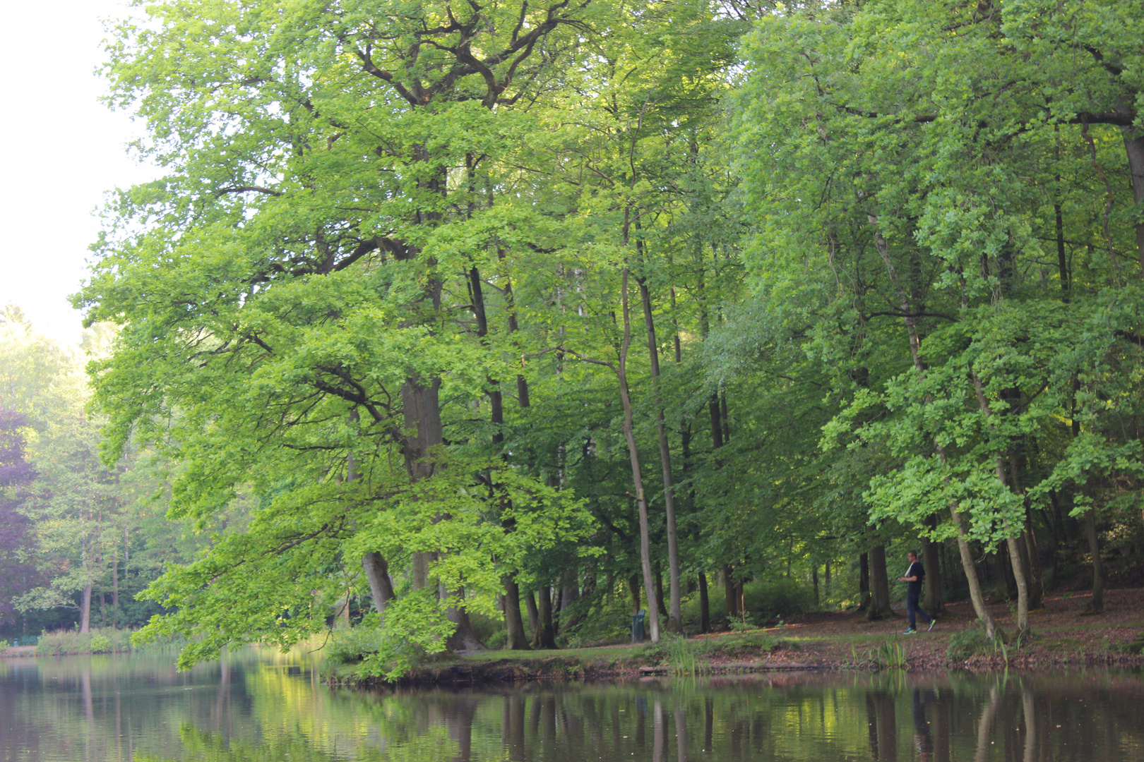 Erholung am Großer Teich, Großhansdorf