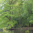 Erholung am Großer Teich, Großhansdorf