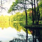 Erholung am Großer Teich, Großhansdorf