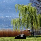 Erholung am Lago Maggiore