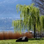 Erholung am Lago Maggiore