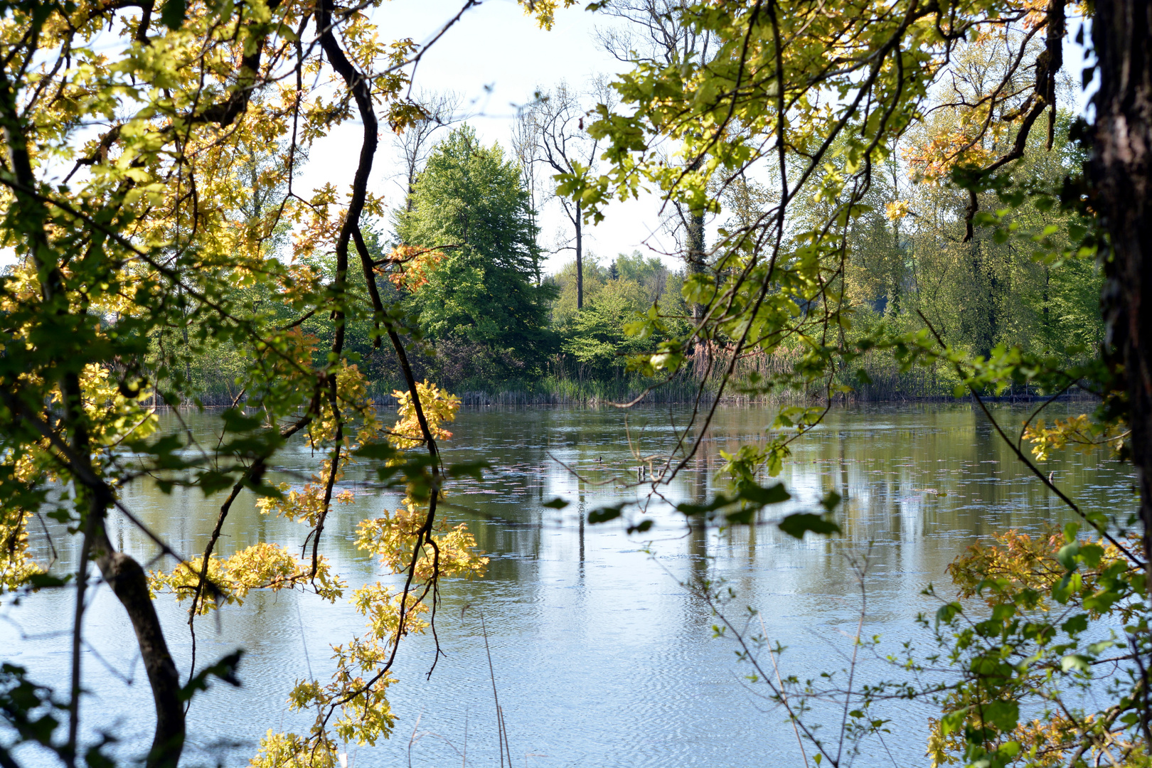 erholung am teich