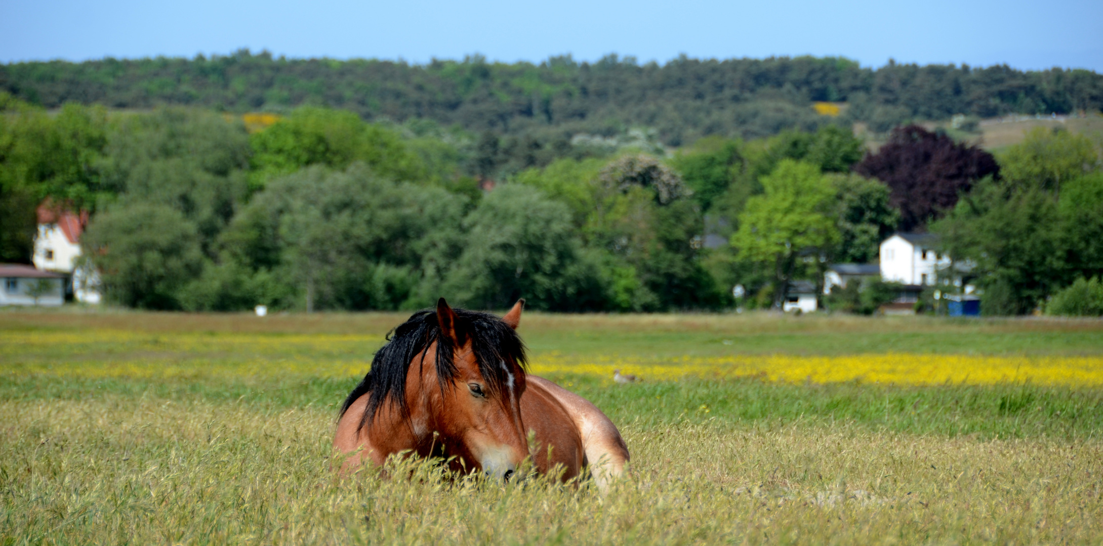 Erholung auf Hiddensee