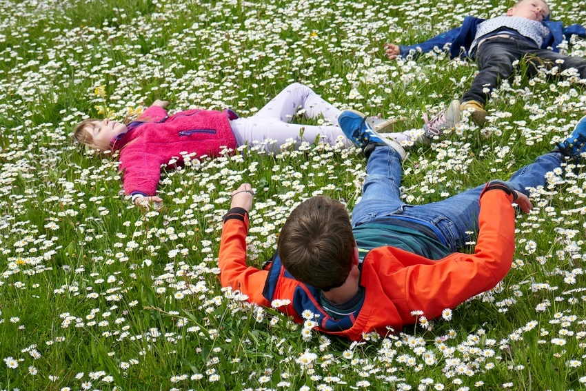 Erholung im Frühling