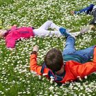 Erholung im Frühling