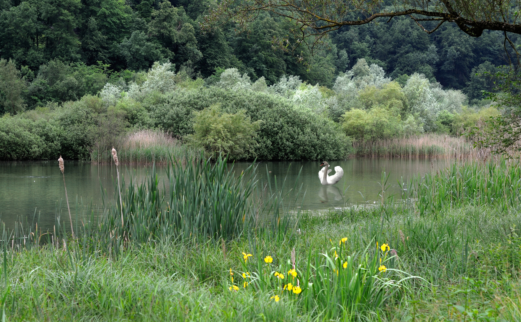 Erholung in der Natur