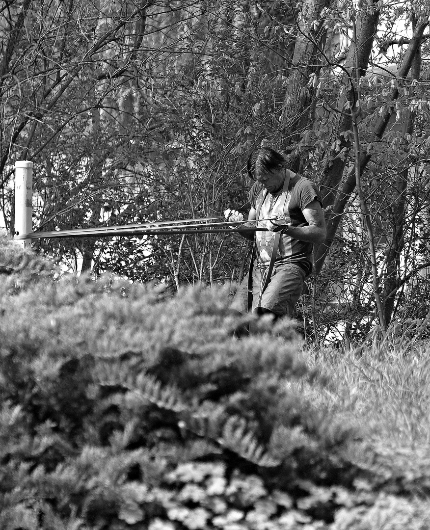 Erholung und Entspannung im Park