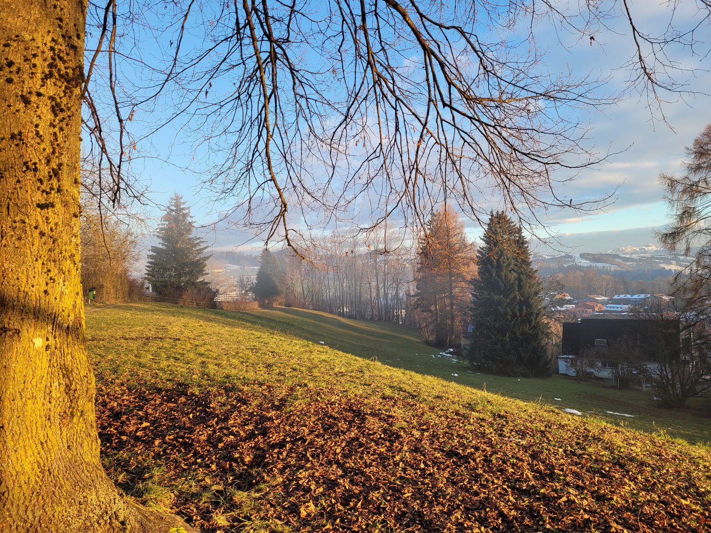 Erholungsgebiet St. Gallen, Haggen, Lindeli