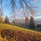 Erholungsgebiet St. Gallen, Haggen, Lindeli