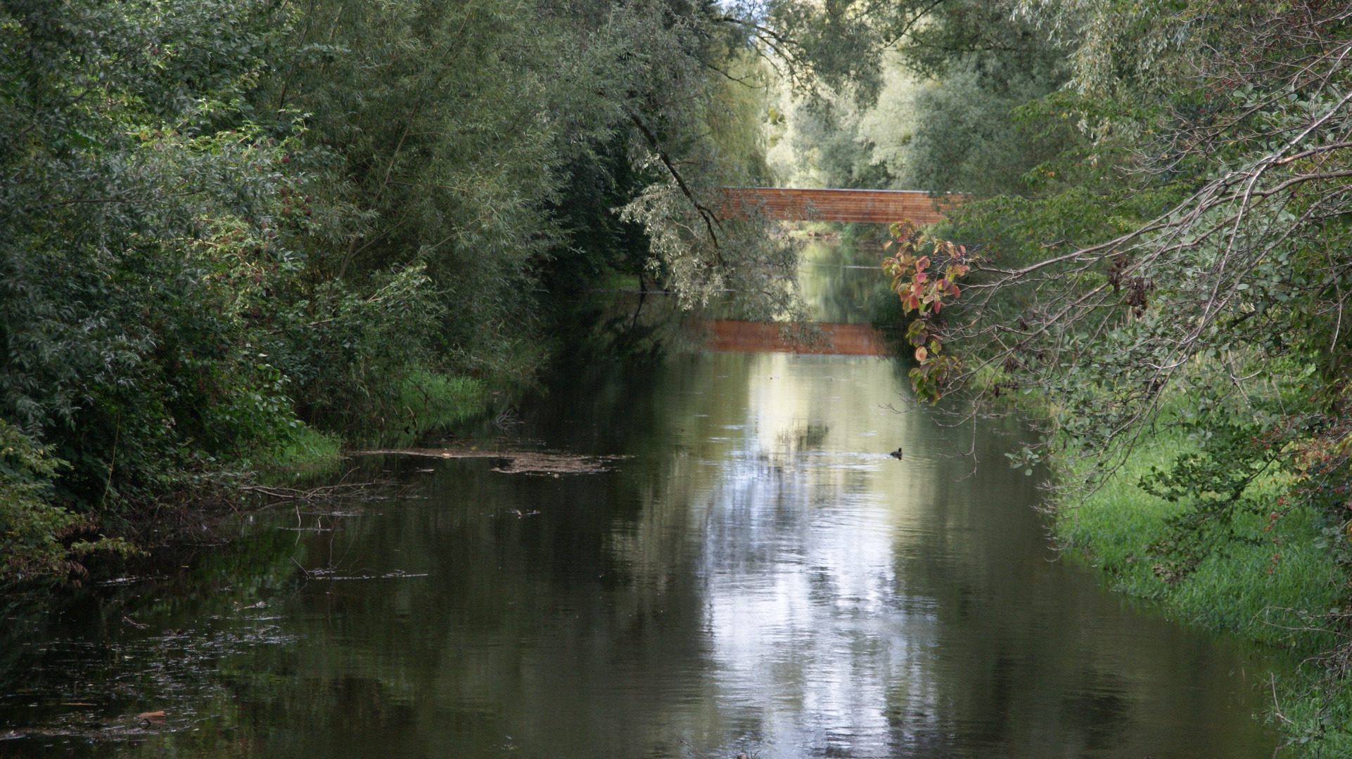 Erholungsplätze am Bodensee