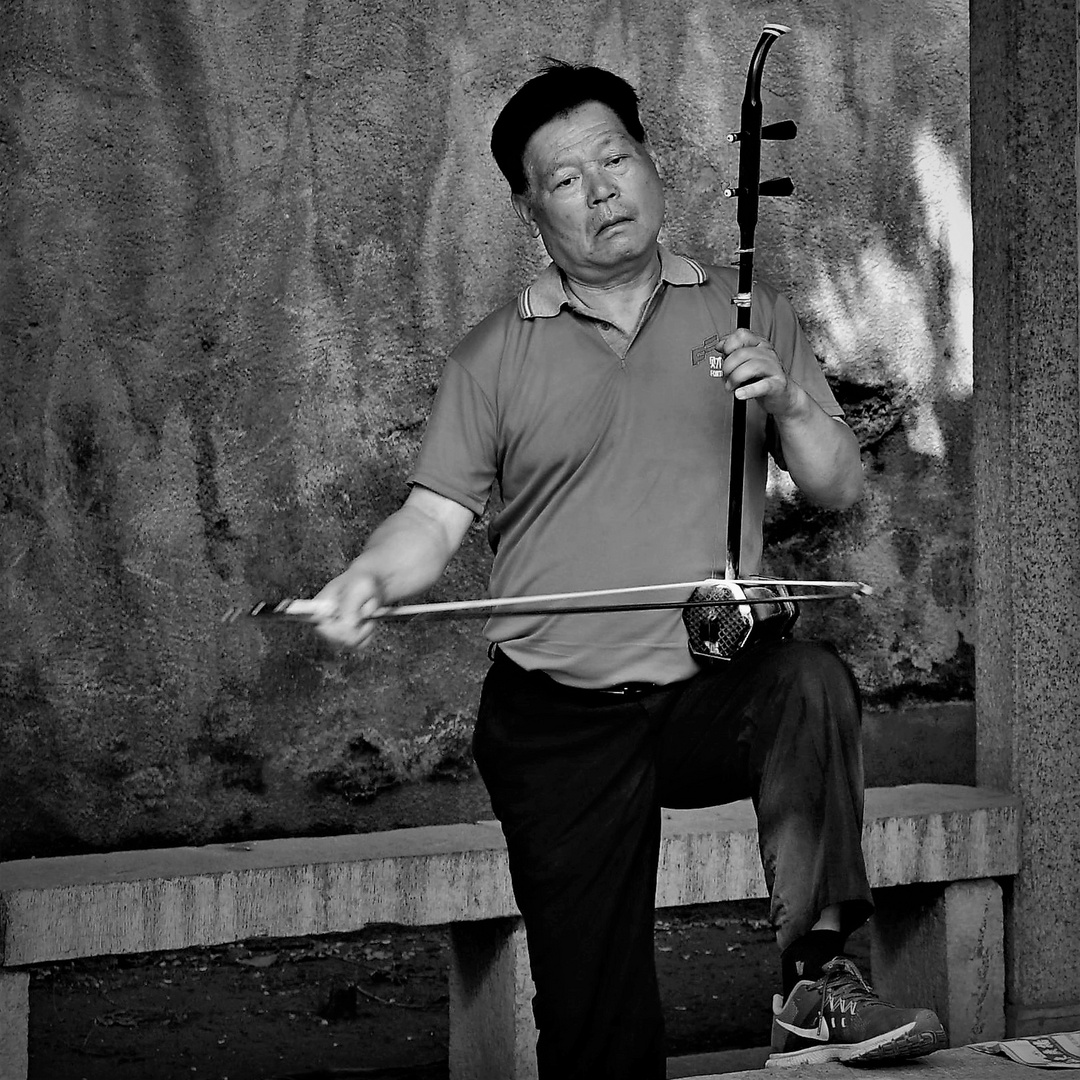 Erhu musician