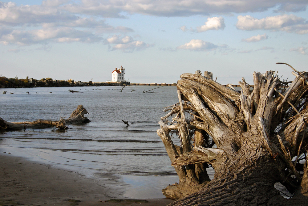 Erie Coast