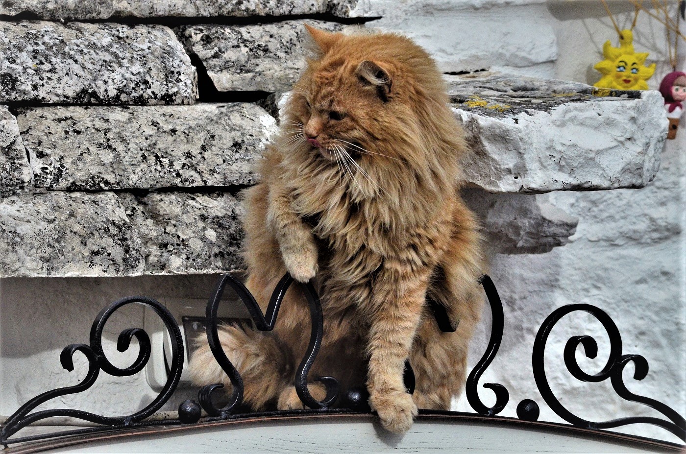 Erik il Rosso Foto Immagini europe, italy, vatican city, s marino