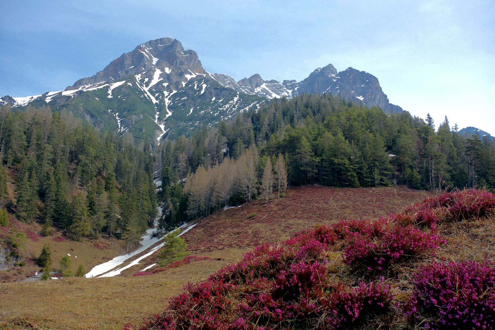 Erika auf der Alm