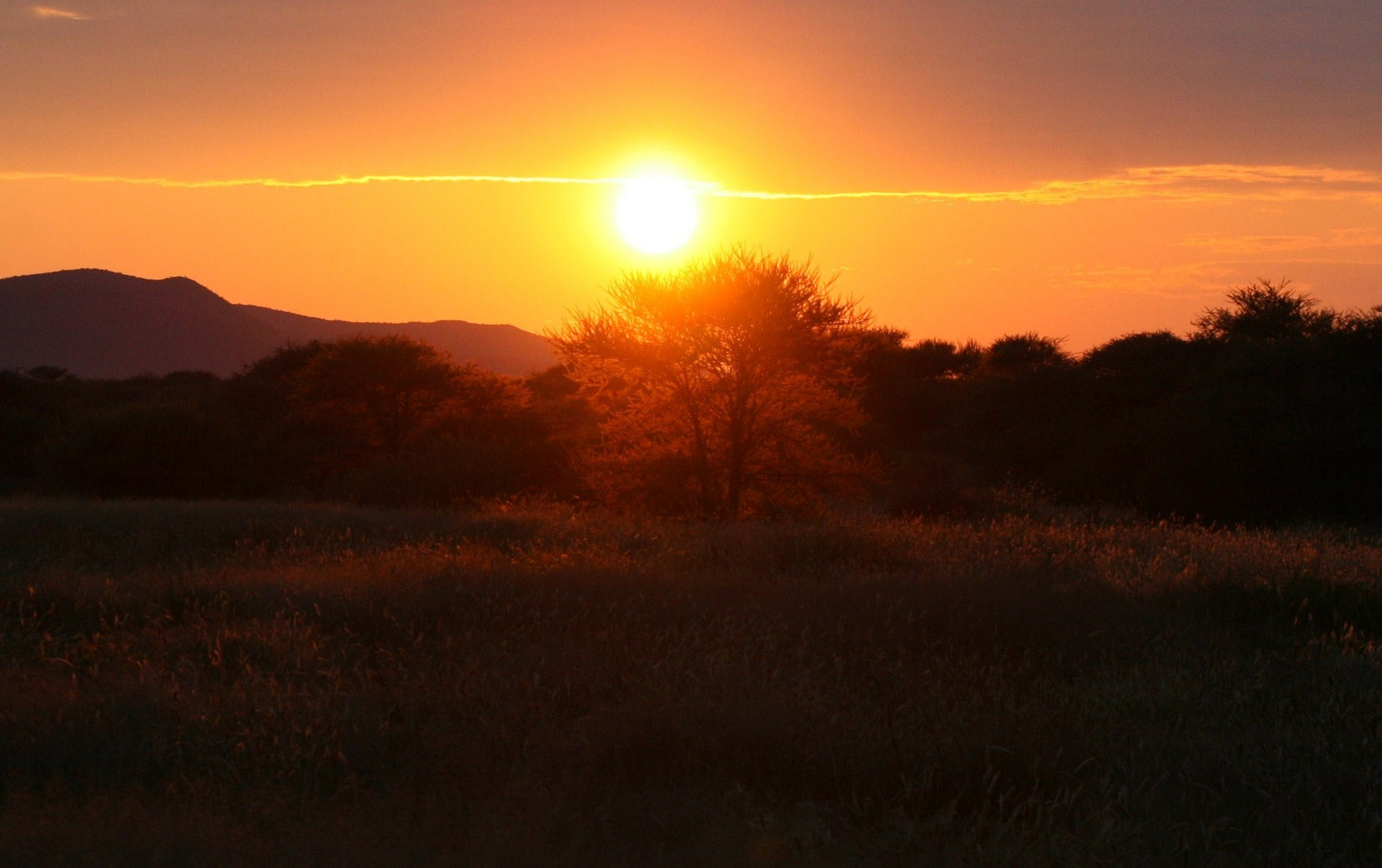 Erindi game farm namibia