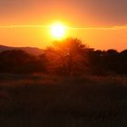 Erindi game farm namibia