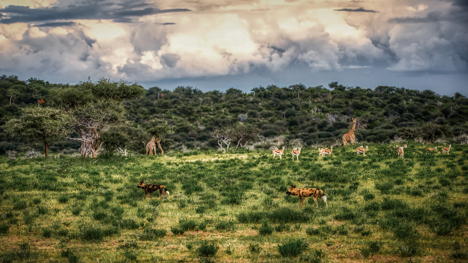 ERINDI PRIVATE GAME RESERVE (101)